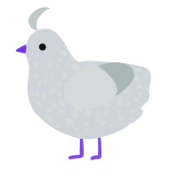 A mist and silver chicken with a speckle pattern