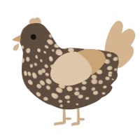 A bark and beige chicken with a speckle pattern