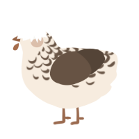 A cream and bark chicken with a half-lace pattern
