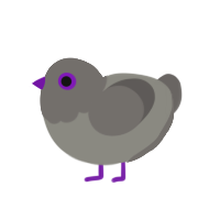 A ash and grey chicken with a head pattern