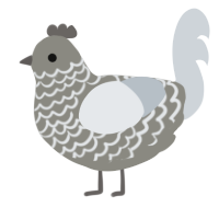 A ash and mist chicken with a lace pattern