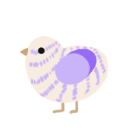 A cream and lilac chicken with a bar pattern