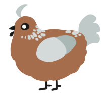 A brown and silver chicken with a neck-speckle pattern