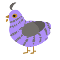 A lilac and grey chicken with a bar pattern