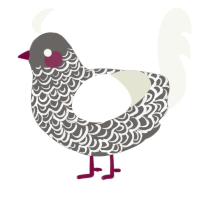 A grey and white chicken with a double-lace pattern