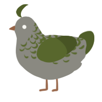 A ash and olive chicken with a half-lace pattern