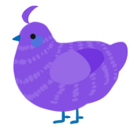 A blurple chicken with a bar pattern