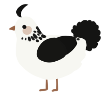 A white and black chicken with a neck-speckle pattern