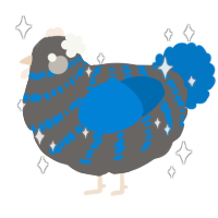 A grey and sapphire chicken with a bar pattern