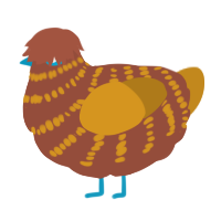A russet and ochre chicken with a bar pattern