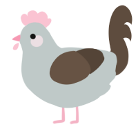 Valentine, a silver and bark chicken