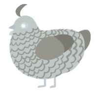 A silver and ash chicken with a lace pattern
