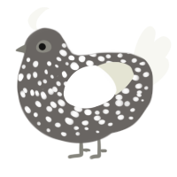 A grey and white chicken with a speckle pattern