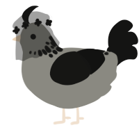The Cage, a ash and black chicken with a neck-speckle pattern