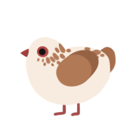 A cream and brown chicken with a neck-speckle pattern