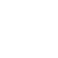 A white chicken with a neck-speckle pattern