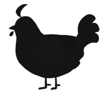 I AM THE NIGHT, a black chicken with a double-lace pattern