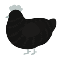 A black and sable chicken with a bar pattern