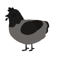 A grey and sable chicken with a head pattern