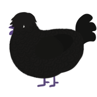 A sable and black chicken with a double-lace pattern