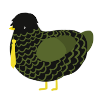 pye, a black and olive chicken with a lace pattern