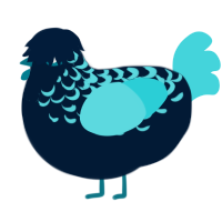 A tumblr and aqua chicken with a half-lace pattern
