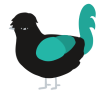 Gem Silica, a sable and turquoise chicken