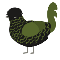 A sable and olive chicken with a lace pattern