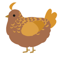 A brown and orange chicken with a half-lace pattern