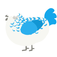 A white and sky chicken with a half-lace pattern
