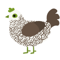 A white and bark chicken with a double-lace pattern