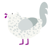 A white and silver chicken with a speckle pattern