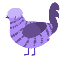 A lilac and overcast chicken with a bar pattern
