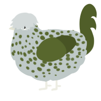 A silver and olive chicken with a speckle pattern