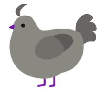 A ash and grey chicken