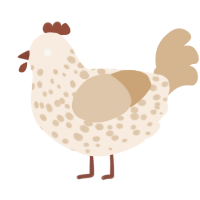 Tiramisu, a cream and beige chicken with a speckle pattern