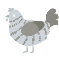 A mist and ash chicken with a bar pattern