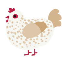 pending, a white and beige chicken with a speckle pattern