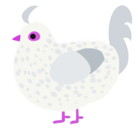 A white and mist chicken with a speckle pattern