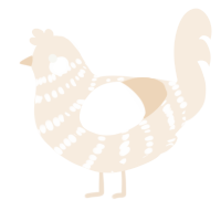 A cream chicken with a bar pattern