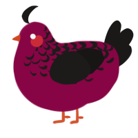 A maroon and sable chicken with a half-lace pattern