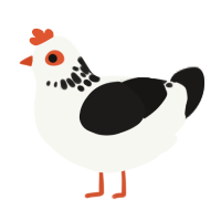 A white and sable chicken with a neck-speckle pattern