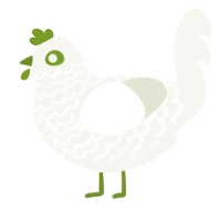 A white chicken with a lace pattern