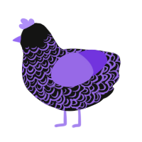 A black and blurple chicken with a double-lace pattern