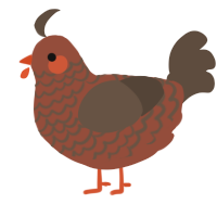 A russet and bark chicken with a lace pattern