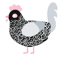 A black and mist chicken with a double-lace pattern