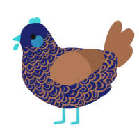 A navy and brown chicken with a double-lace pattern