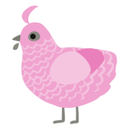 A pink chicken with a lace pattern