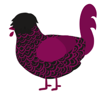 A sable and wine chicken with a double-lace pattern