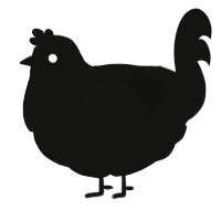 Midnight Sky, a black chicken with a speckle pattern